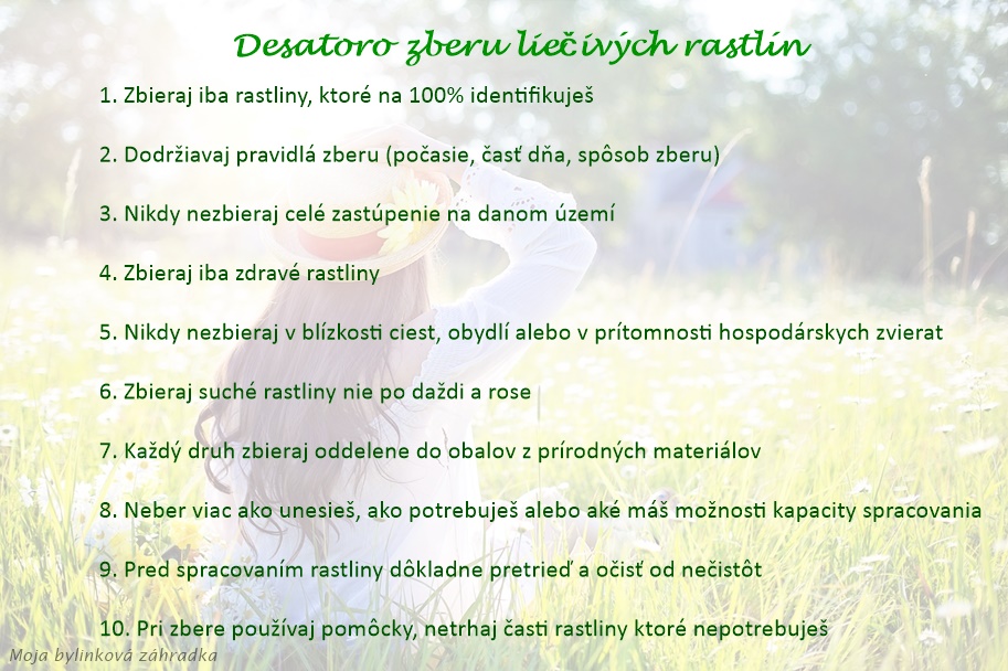 moja bylinková záhradka 